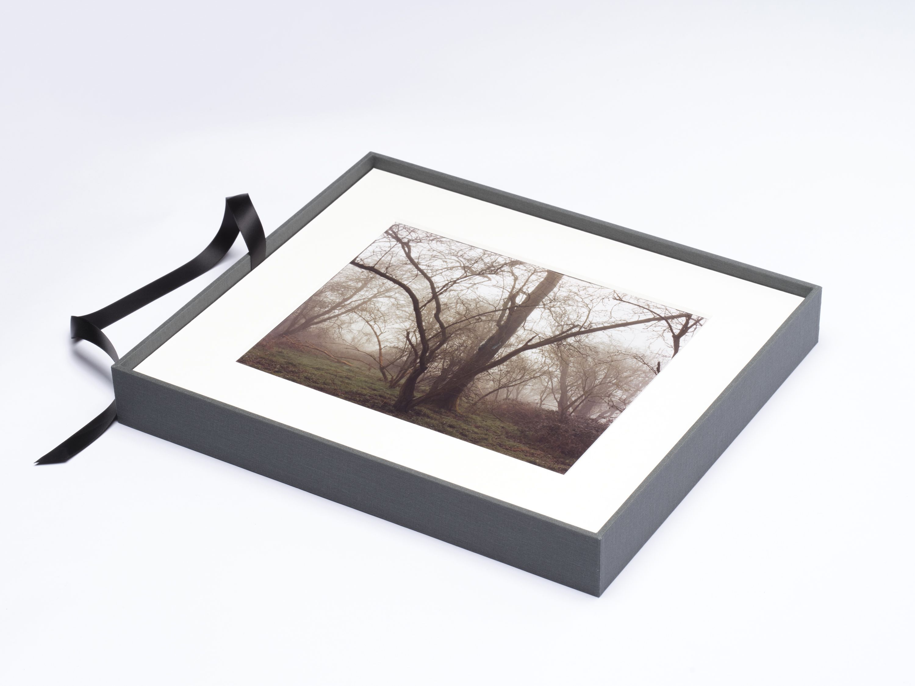 23 10 22 Book Still Life11017